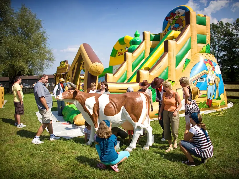 Park Atrakcji Country Zagroda - zdjęcie 2 - Dmuchańce Wynajem