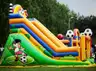 Zjeżdżalnia Futbol - zdjęcie 2
